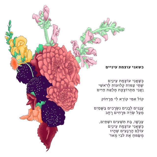 ספר שירה "הבוקר בא תמיד" / שיבטה טויו-Locus-Shoppu